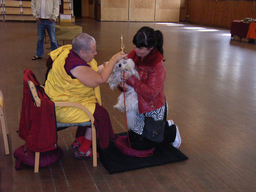 husdjursvälsignelse - rimg0507b