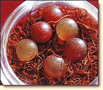 lama konchog - blodrelik